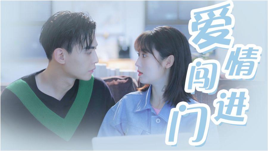 哈尼和她的宠物们